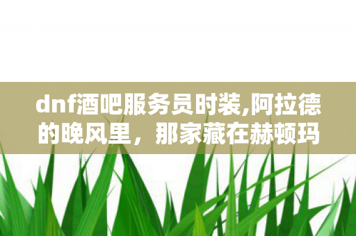 dnf酒吧服务员时装,阿拉德的晚风里，那家藏在赫顿玛尔街角的老酒吧