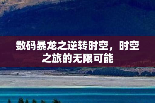 数码暴龙之逆转时空图片