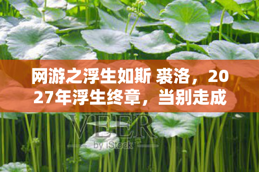 网游之浮生如斯 裘洛,2027年浮生终章,当别走成绝响,我删号时鼻子一酸 网游之浮生如斯 裘洛,2027年浮生终章,当别走成绝响,我删号时鼻子一酸