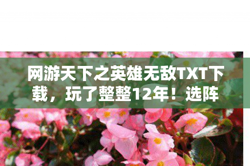 网游天下之英雄无敌TXT下载,玩了整整12年!选阵营还是等新职业?老玩家陷入终极纠结 网游天下之英雄无敌TXT下载,玩了整整12年!选阵营还是等新职业?老玩家陷入终极纠结