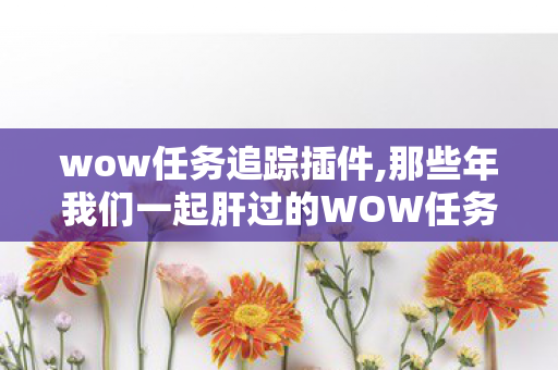 wow任务追踪插件,那些年我们一起肝过的WOW任务，藏着青春里最鲜活的冒险注脚