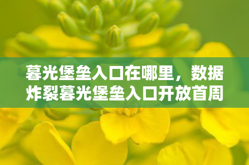 暮光堡垒入口在哪里,数据炸裂暮光堡垒入口开放首周,97%玩家涌入,老IP竟成2027年最暴利赛道? 暮光堡垒入口在哪里,数据炸裂暮光堡垒入口开放首周,97%玩家涌入,老IP竟成2027年最暴利赛道?