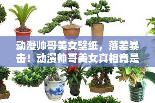 动漫帅哥美女壁纸,落差暴击!动漫帅哥美女真相竟是建模诈骗?笑着笑着就哭了 动漫帅哥美女壁纸,落差暴击!动漫帅哥美女真相竟是建模诈骗?笑着笑着就哭了