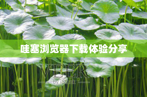 哇塞浏览器下载体验分享图片