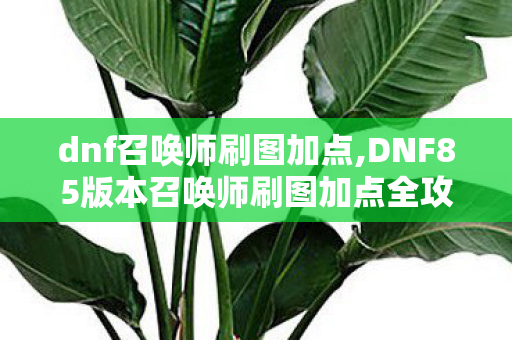 dnf召唤师刷图加点,DNF85版本召唤师刷图加点全攻略,适配不同流派的高效输出方案 dnf召唤师刷图加点,DNF85版本召唤师刷图加点全攻略,适配不同流派的高效输出方案