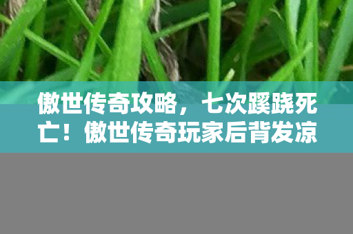 傲世传奇攻略,七次蹊跷死亡!傲世传奇玩家后背发凉的终极真相 傲世传奇攻略,七次蹊跷死亡!傲世传奇玩家后背发凉的终极真相