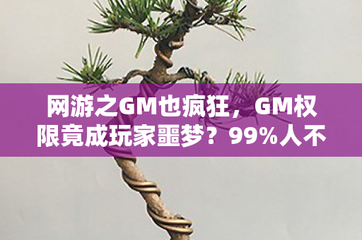 网游之GM也疯狂,GM权限竟成玩家噩梦?99%人不知的隐藏机制让全服崩溃! 网游之GM也疯狂,GM权限竟成玩家噩梦?99%人不知的隐藏机制让全服崩溃!