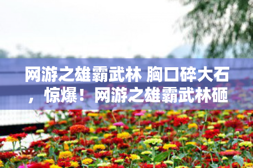 网游之雄霸武林 胸口碎大石,惊爆!网游之雄霸武林砸3亿却藏惊天隐情,真相让人吓一跳! 网游之雄霸武林 胸口碎大石,惊爆!网游之雄霸武林砸3亿却藏惊天隐情,真相让人吓一跳!