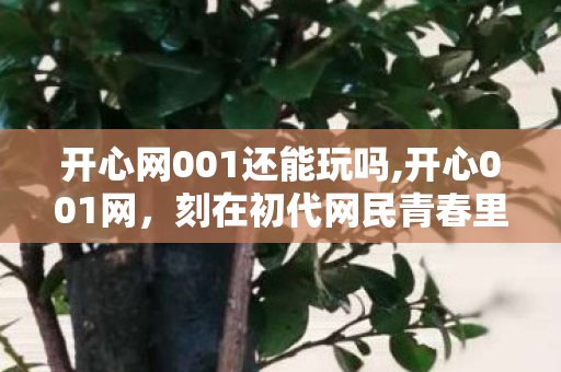 开心网001还能玩吗,开心001网,刻在初代网民青春里的轻社交旧时光 开心网001还能玩吗,开心001网,刻在初代网民青春里的轻社交旧时光