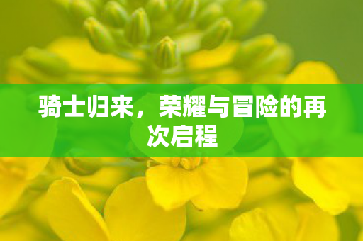 荣耀与冒险的再次启程图片