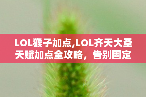 LOL猴子加点,LOL齐天大圣天赋加点全攻略,告别固定模板适配各类对局 LOL猴子加点,LOL齐天大圣天赋加点全攻略,告别固定模板适配各类对局