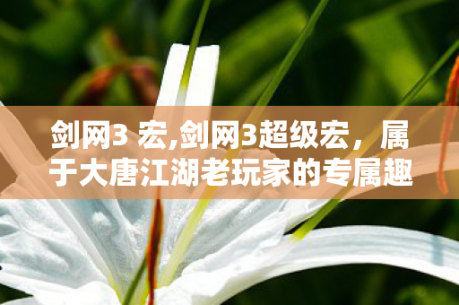 剑网3 宏,剑网3超级宏,属于大唐江湖老玩家的专属趣味回忆 剑网3 宏,剑网3超级宏,属于大唐江湖老玩家的专属趣味回忆