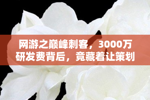 网游之巅峰刺客,3000万研发费背后,竟藏着让策划吓一跳的隐情! 网游之巅峰刺客,3000万研发费背后,竟藏着让策划吓一跳的隐情!