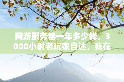 网游服务器一年多少钱，3000小时老玩家自述，我在网游服务器里，究竟弄丢了什么？