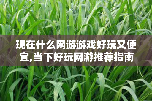 现在什么网游游戏好玩又便宜,当下好玩网游推荐指南,不同偏好玩家都能找到心仪选择 现在什么网游游戏好玩又便宜,当下好玩网游推荐指南,不同偏好玩家都能找到心仪选择
