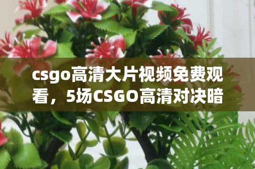 csgo高清大片视频免费观看,5场CSGO高清对决暗藏惊天反转,你的操作真能掌控全局? csgo高清大片视频免费观看,5场CSGO高清对决暗藏惊天反转,你的操作真能掌控全局?