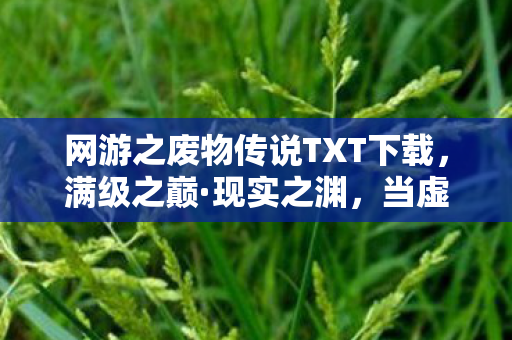 网游之废物传说TXT下载，满级之巅·现实之渊，当虚拟王者撞碎现实废铁