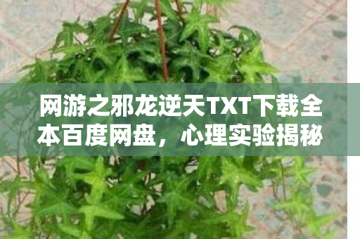 网游之邪龙逆天TXT下载全本百度网盘,心理实验揭秘,沉迷网游竟是多巴胺陷阱?细思极恐的脑控真相 网游之邪龙逆天TXT下载全本百度网盘,心理实验揭秘,沉迷网游竟是多巴胺陷阱?细思极恐的脑控真相