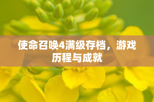 使命召唤4满级存档图片