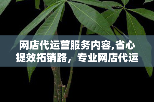 网店代运营服务内容,省心提效拓销路,专业网店代运营服务助力商家轻装掘金线上赛道 网店代运营服务内容,省心提效拓销路,专业网店代运营服务助力商家轻装掘金线上赛道