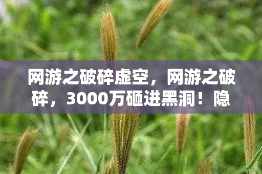网游之破碎虚空,网游之破碎,3000万砸进黑洞!隐情曝光竟让全行业吓一跳 网游之破碎虚空,网游之破碎,3000万砸进黑洞!隐情曝光竟让全行业吓一跳