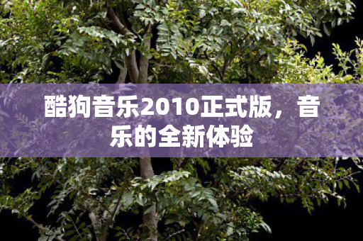 酷狗音乐2010正式版图片