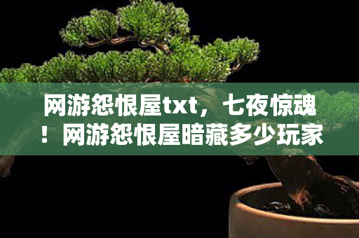 网游怨恨屋txt，七夜惊魂！网游怨恨屋暗藏多少玩家未解的致命谜题？