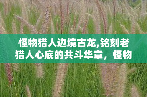 怪物猎人边境古龙,铭刻老猎人心底的共斗华章,怪物猎人边境G的旷野余响 怪物猎人边境古龙,铭刻老猎人心底的共斗华章,怪物猎人边境G的旷野余响