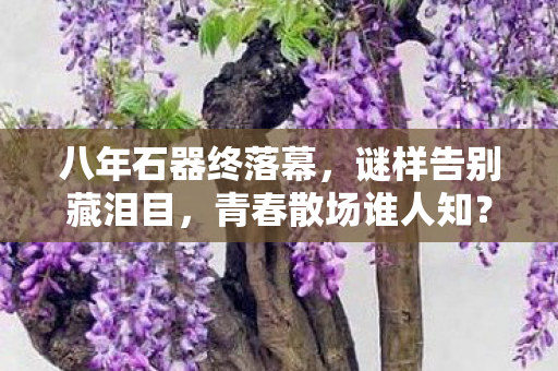 八年石器终落幕，谜样告别藏泪目，青春散场谁人知？