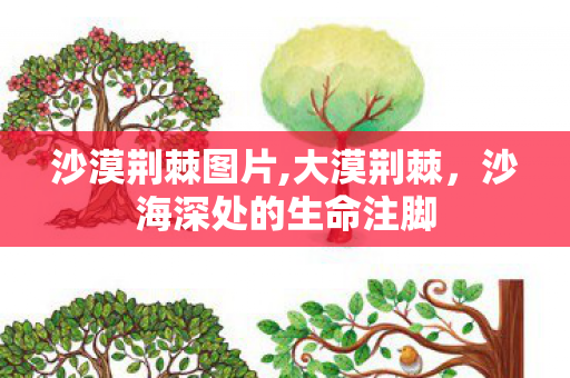 沙漠荆棘图片,大漠荆棘，沙海深处的生命注脚
