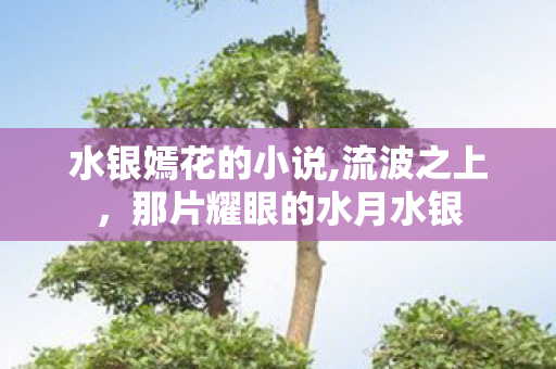水银嫣花的小说,流波之上,那片耀眼的水月水银 水银嫣花的小说,流波之上,那片耀眼的水月水银