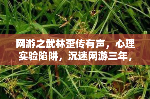网游之武林歪传有声,心理实验陷阱,沉迷网游三年,细思极恐的自我囚禁 网游之武林歪传有声,心理实验陷阱,沉迷网游三年,细思极恐的自我囚禁
