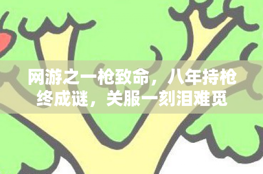 网游之一枪致命，八年持枪终成谜，关服一刻泪难觅