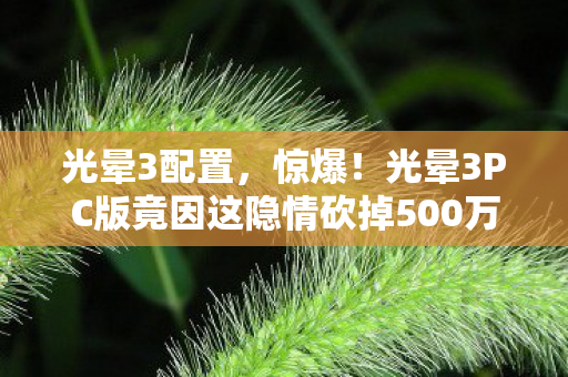 光晕3配置，惊爆！光晕3PC版竟因这隐情砍掉500万玩法，吓一跳的真相！