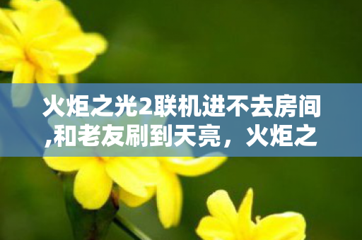 火炬之光2联机进不去房间,和老友刷到天亮，火炬之光2联机的专属快乐密码