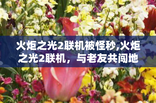 火炬之光2联机被怪秒,火炬之光2联机,与老友共闯地牢的纯粹冒险乐趣 火炬之光2联机被怪秒,火炬之光2联机,与老友共闯地牢的纯粹冒险乐趣