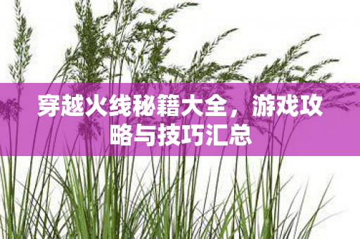 游戏攻略与技巧汇总图片