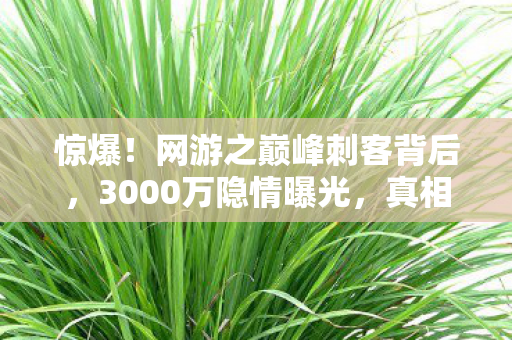 惊爆!网游之巅峰刺客背后,3000万隐情曝光,真相让人吓一跳! 惊爆!网游之巅峰刺客背后,3000万隐情曝光,真相让人吓一跳!