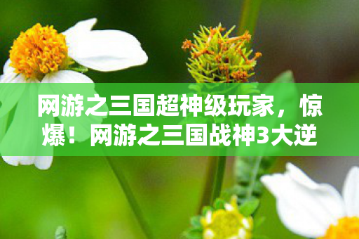 网游之三国超神级玩家,惊爆!网游之三国战神3大逆天玩法,爽到灵魂出窍! 网游之三国超神级玩家,惊爆!网游之三国战神3大逆天玩法,爽到灵魂出窍!