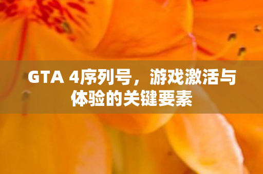 游戏激活与体验的关键要素图片