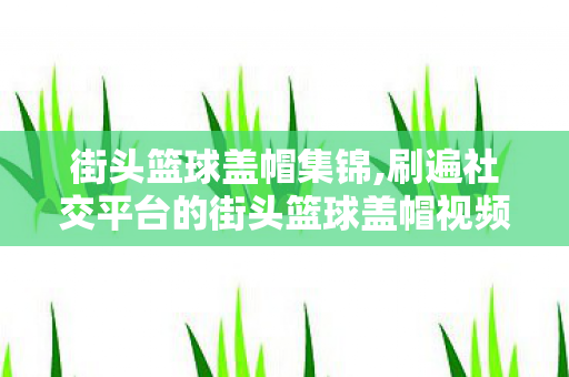 街头篮球盖帽集锦,刷遍社交平台的街头篮球盖帽视频，藏着街球爱好者最燃的青春密码