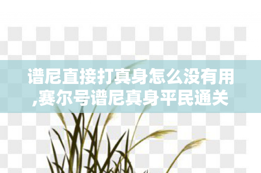 谱尼直接打真身怎么没有用,赛尔号谱尼真身平民通关全指南 童年经典BOSS保姆级打法详解