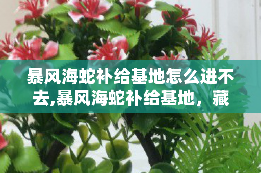 暴风海蛇补给基地怎么进不去,暴风海蛇补给基地,藏在怒海深处的冒险旧梦 暴风海蛇补给基地怎么进不去,暴风海蛇补给基地,藏在怒海深处的冒险旧梦