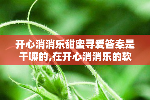 开心消消乐甜蜜寻爱答案是干嘛的,在开心消消乐的软萌世界里,赴一场甜蜜寻爱之约 开心消消乐甜蜜寻爱答案是干嘛的,在开心消消乐的软萌世界里,赴一场甜蜜寻爱之约