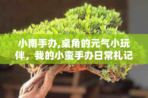 小南手办,桌角的元气小玩伴,我的小蛮手办日常札记 小南手办,桌角的元气小玩伴,我的小蛮手办日常札记