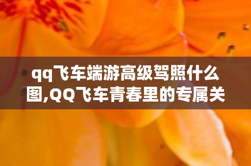 qq飞车端游高级驾照什么图,QQ飞车青春里的专属关卡，敦煌石窟的竞速旧时光