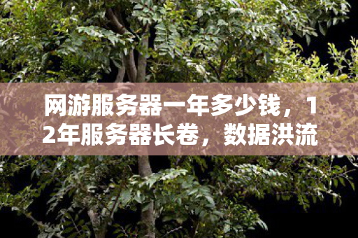 网游服务器一年多少钱,12年服务器长卷,数据洪流中的谜影,为何让百万玩家泪目? 网游服务器一年多少钱,12年服务器长卷,数据洪流中的谜影,为何让百万玩家泪目?