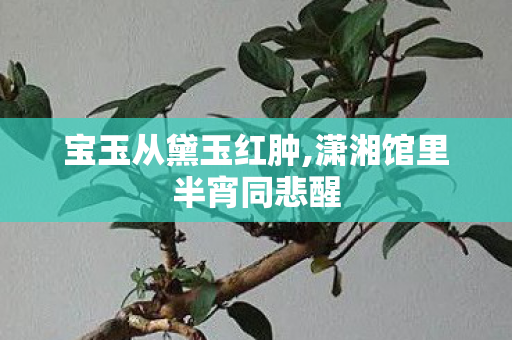 宝玉从黛玉红肿,潇湘馆里半宵同悲醒 宝玉从黛玉红肿,潇湘馆里半宵同悲醒