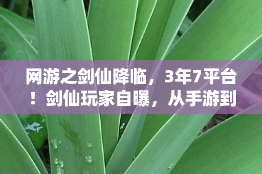 网游之剑仙降临，3年7平台！剑仙玩家自曝，从手游到主机，这身份让我尝尽心酸