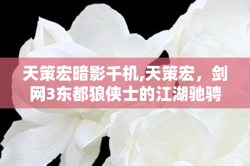 天策宏暗影千机,天策宏，剑网3东都狼侠士的江湖驰骋好帮手